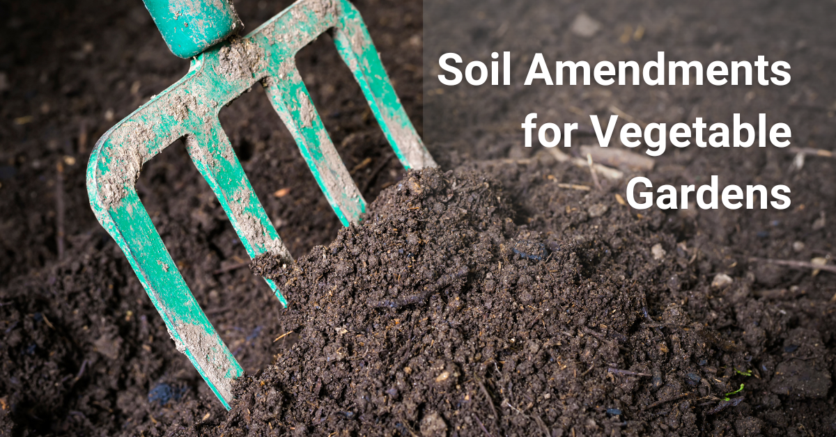 Soil Amendments for Vegetable Gardens in the Southeastern US